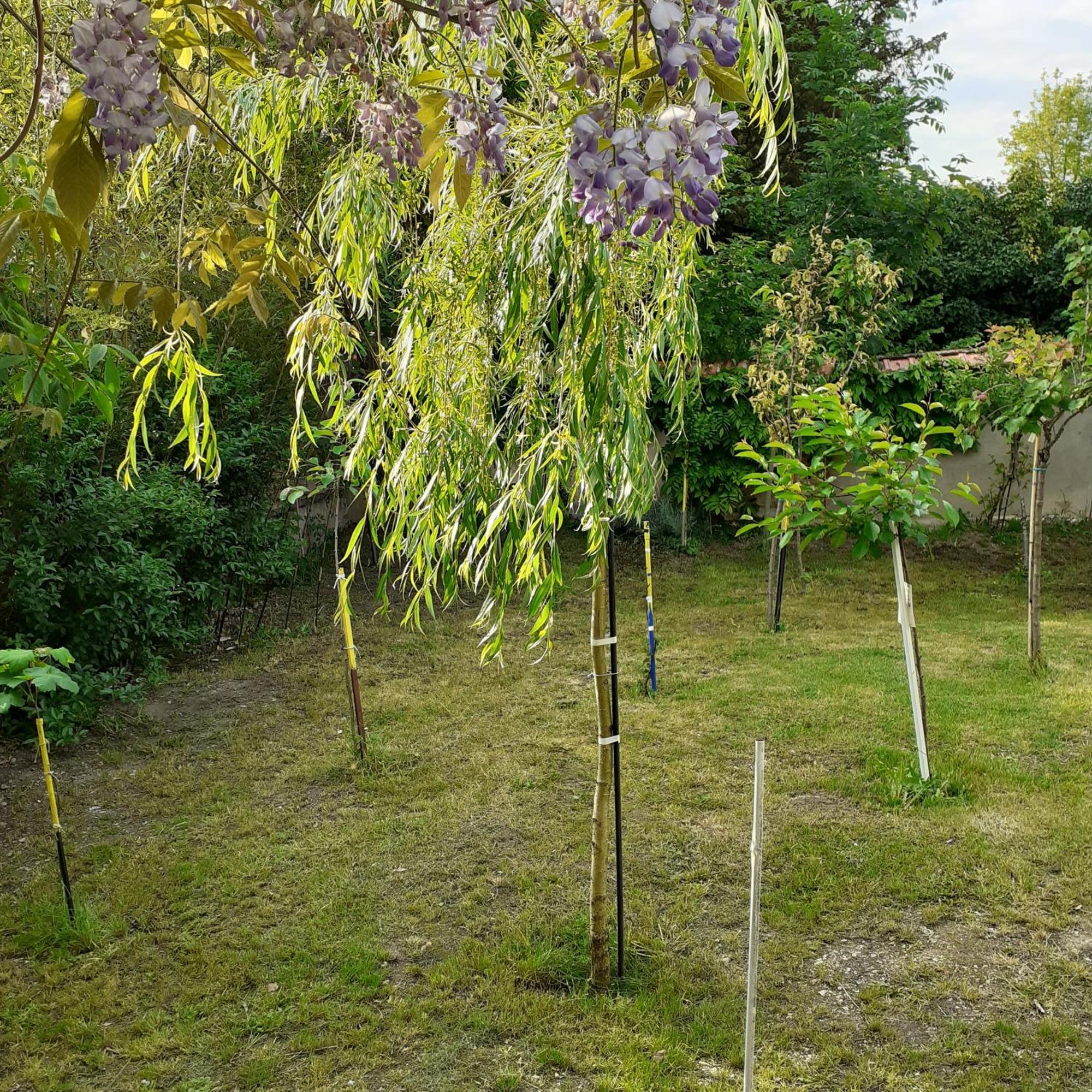 Chambres D'Hotes Gobillon Maintenon Exterior foto